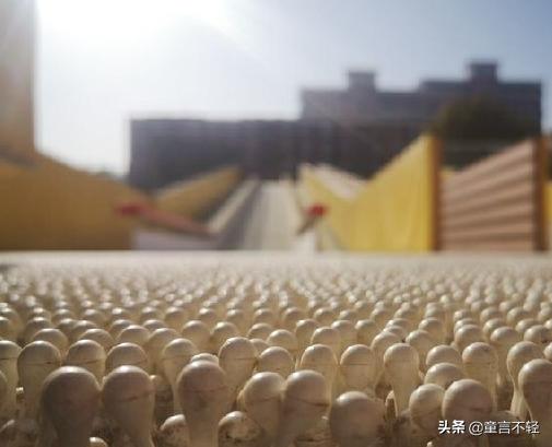 24年幼升小报名怎么没有选学校,幼升小择校校区有哪些