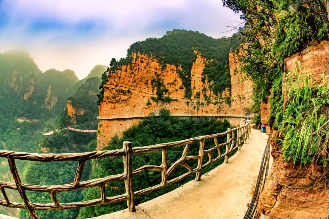 三佳会员免费领取,三佳会员福利怎么样