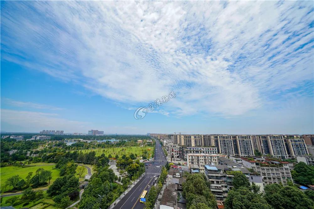 双流机场空港公园,空港体育公园