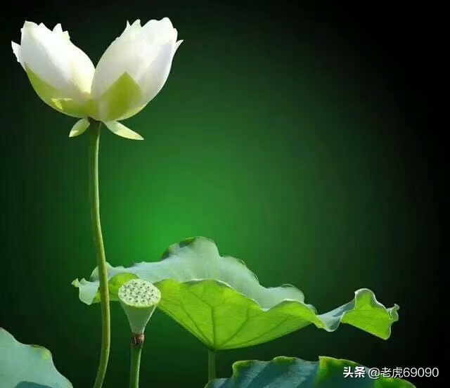 金井书画院强势加盟“爱手工”人工智能全脑开发创意绘画手工课！