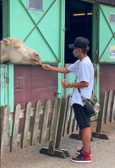 日本22岁当红少女偶像被曝,日本女性偶像被爆