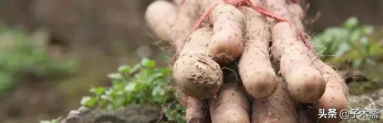 怎么利用短视频卖东西,怎么利用互联网平台销售农产品