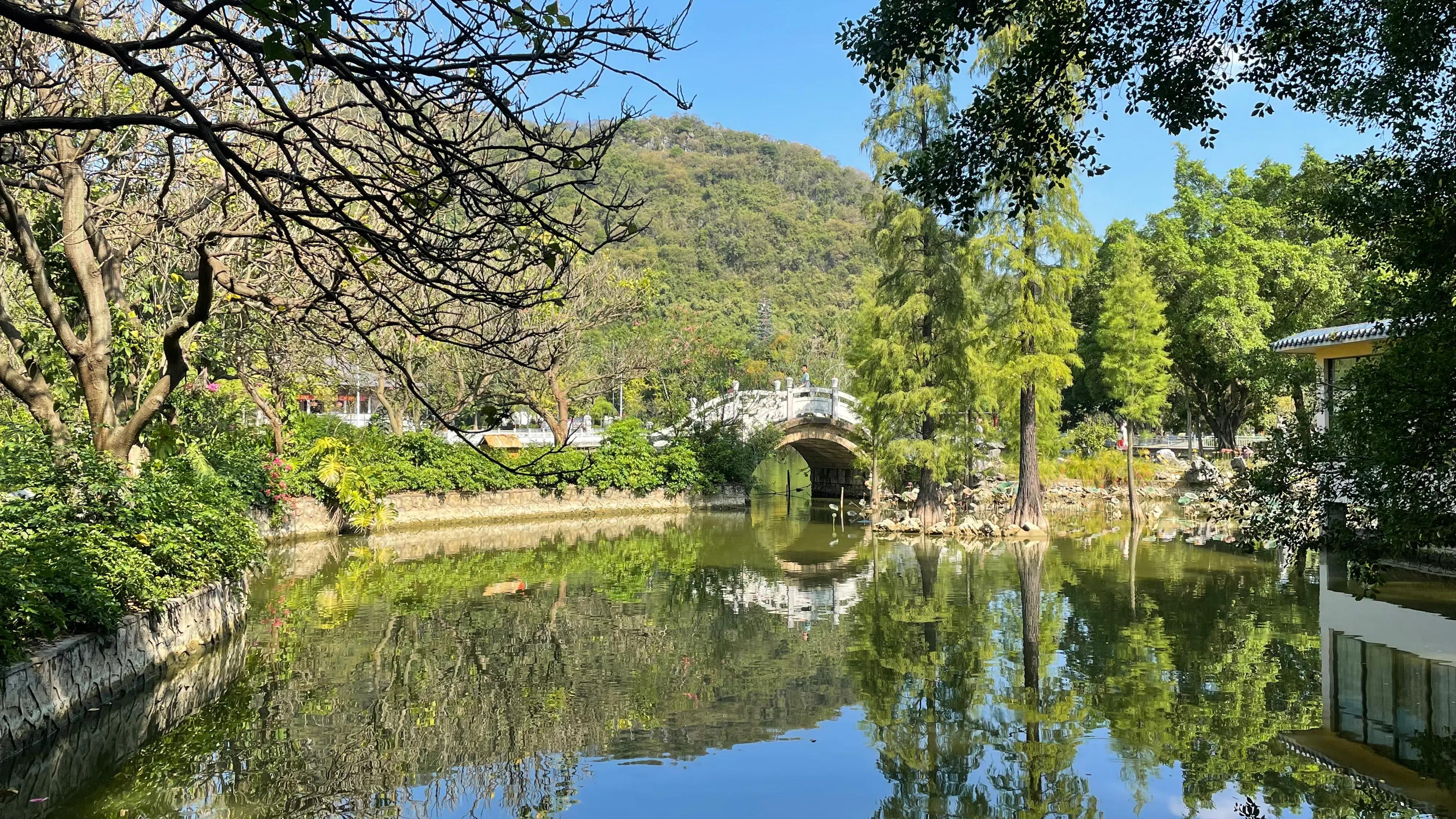 柳州只投螺碗螺蛳粉,再来一碗柳州螺蛳粉