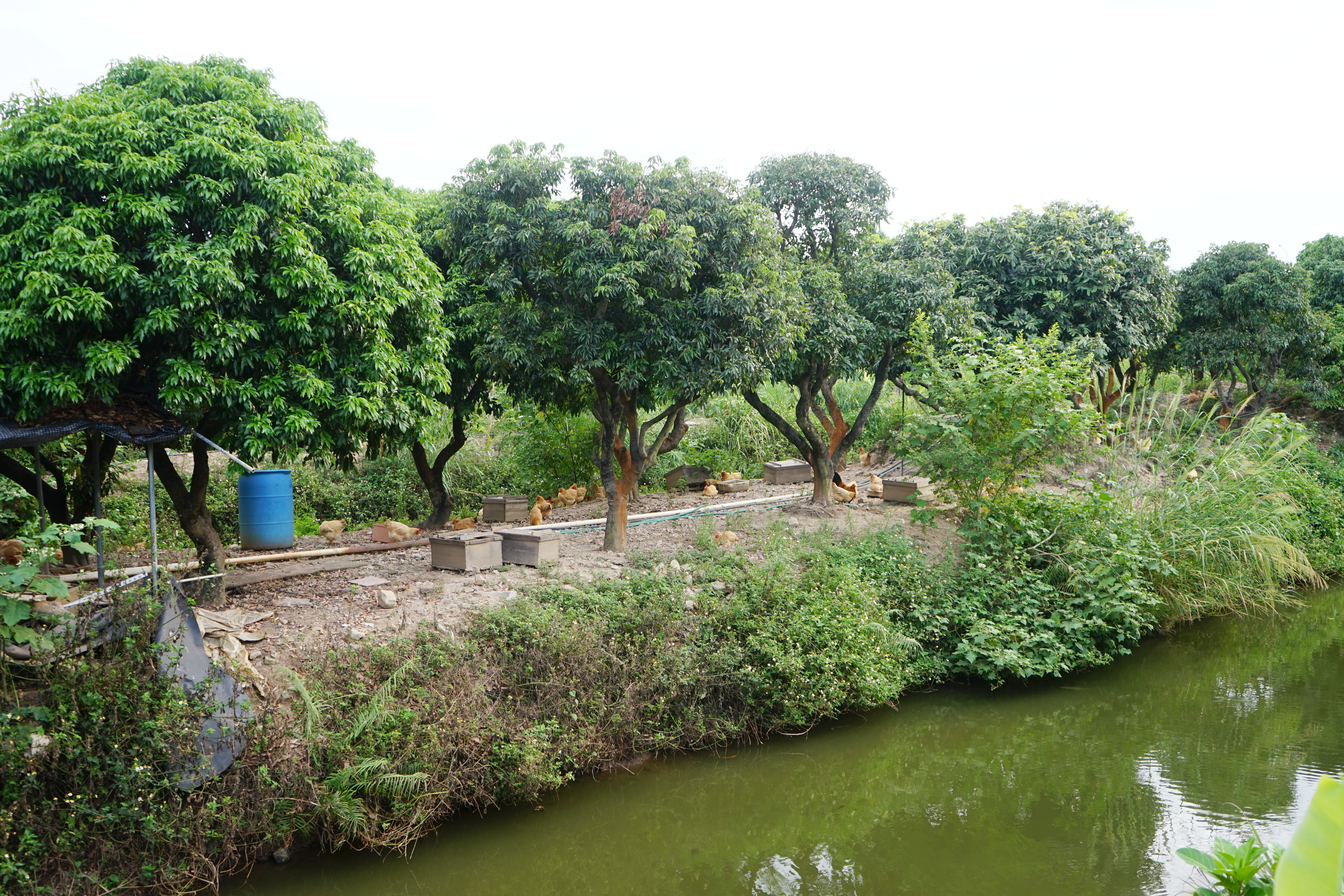 人气最旺的亲子农场,世外桃源亲子农场探店