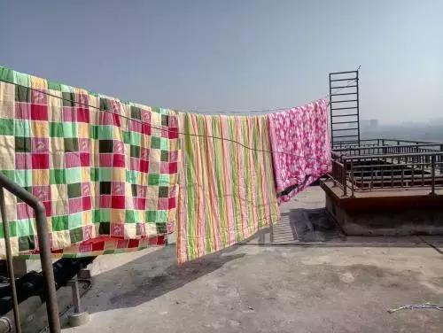 床上有螨虫放什么东西能除螨,床上螨虫和细菌最怕什么