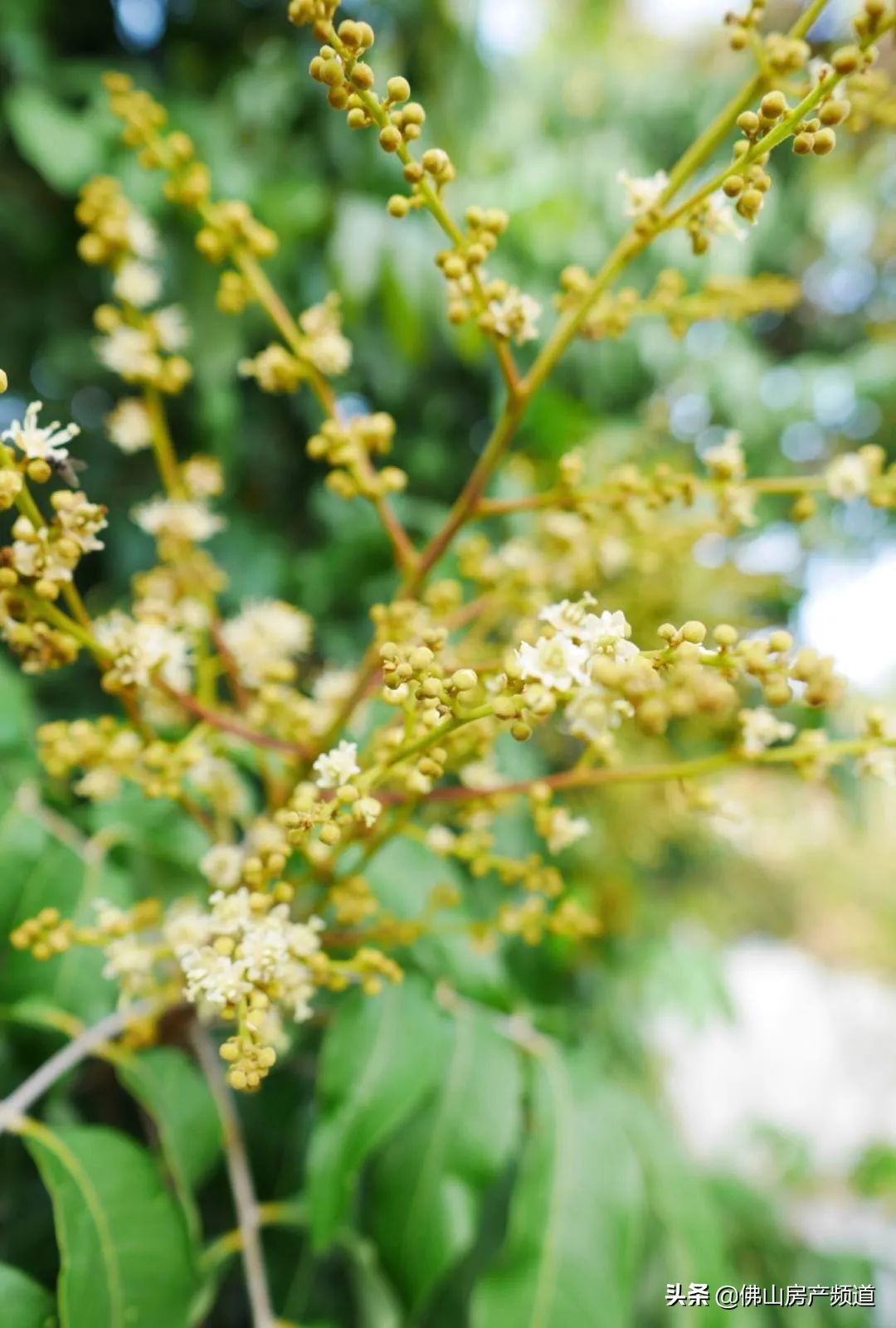 晨读激励人心的美好句子,晨读生命中遇到的每一个人