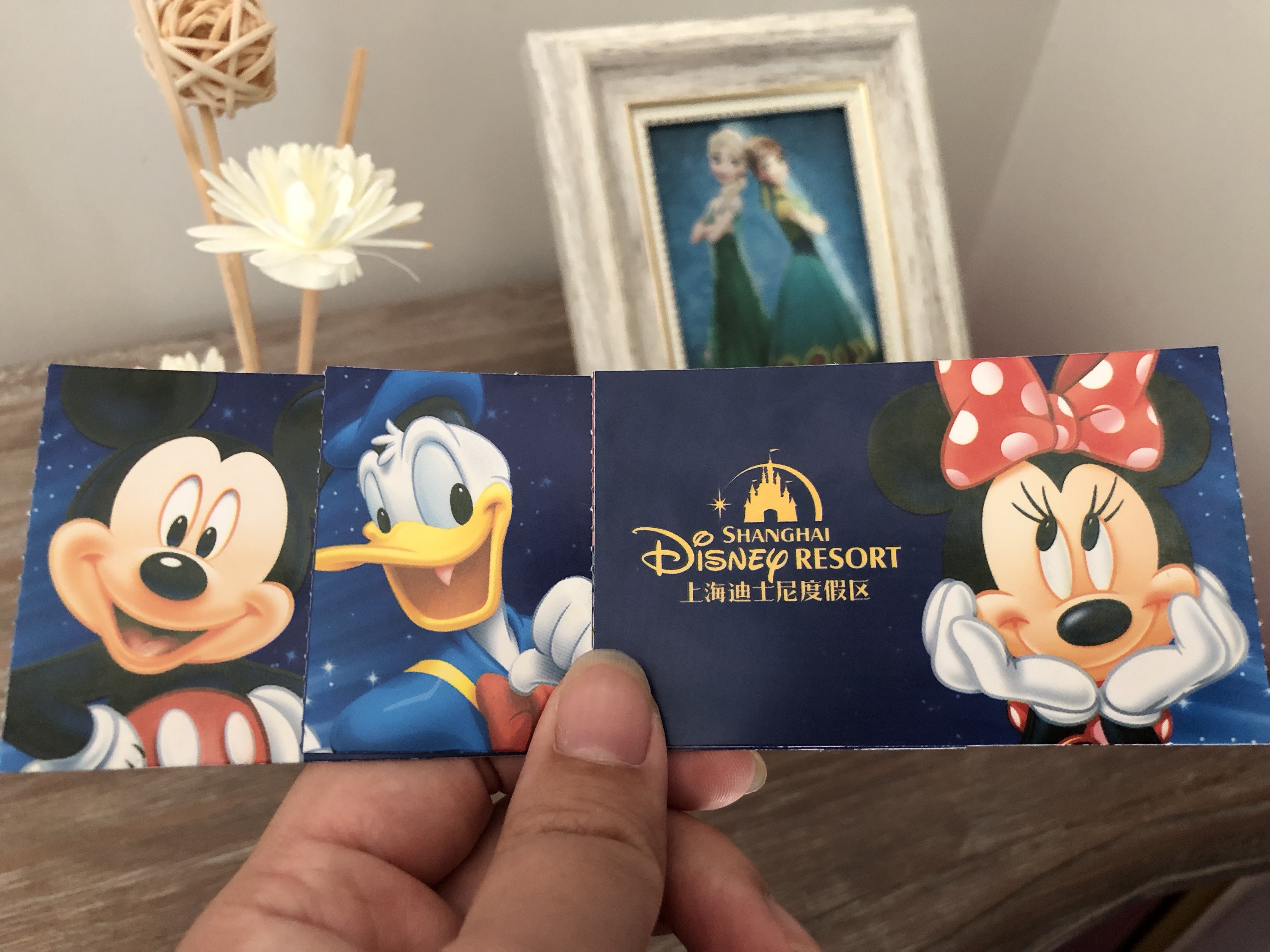 上海迪士尼酒店两天一夜攻略,上海迪士尼旅游攻略小礼品