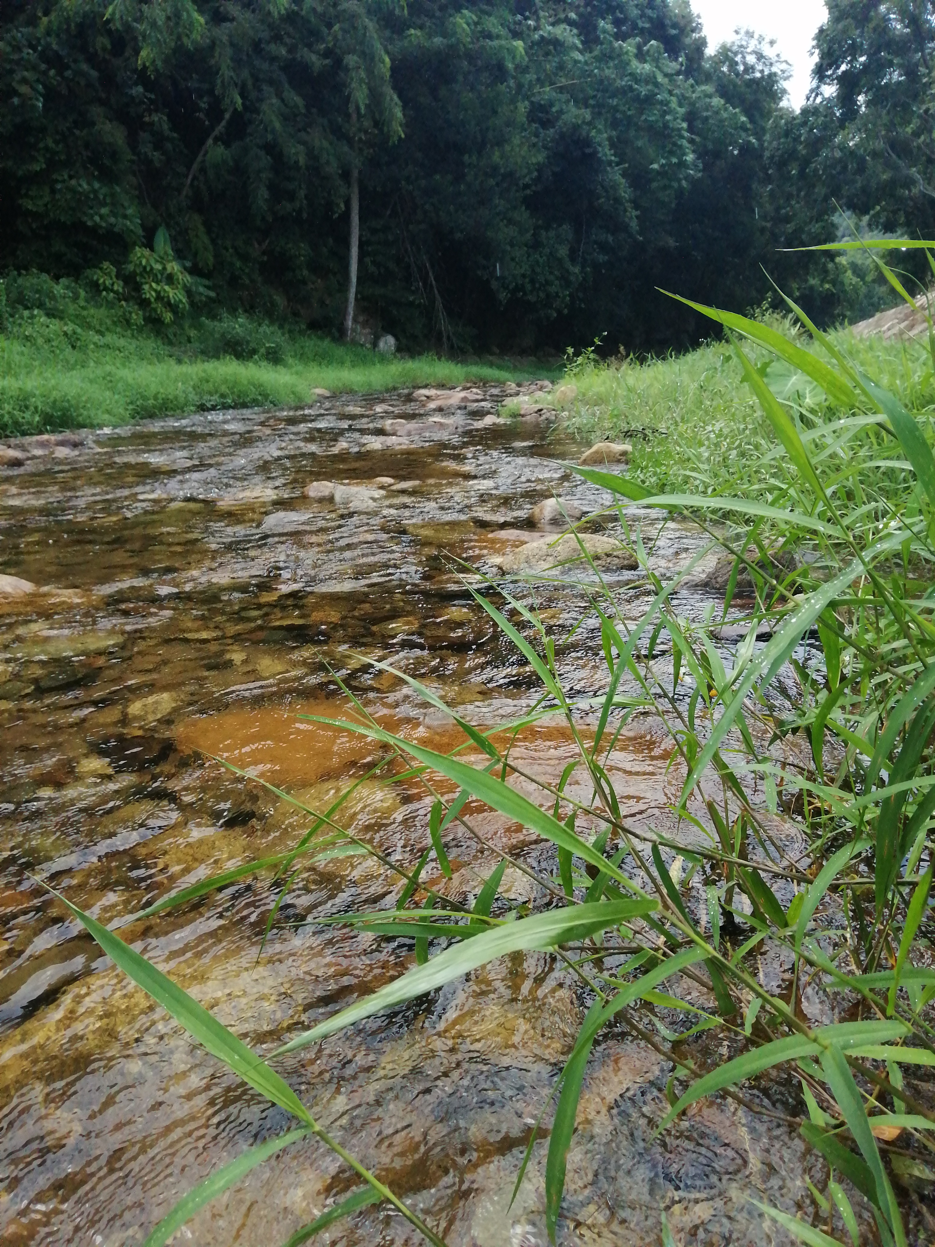 惠州罗浮山酥醪景区天然氧吧,罗浮山酥醪村天然氧吧民宿