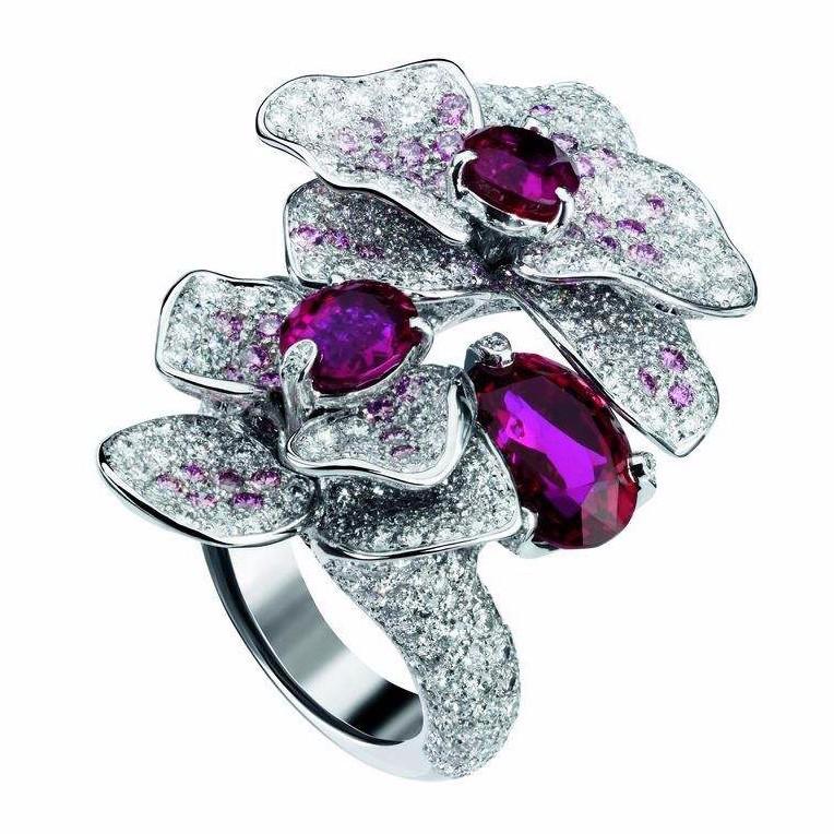 人世间有百媚千红的下一句是什么,任世间百媚千红唯独对你情有独钟