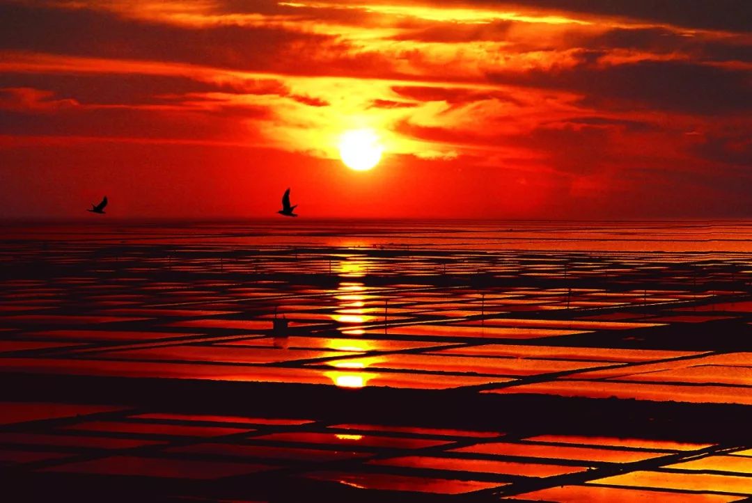 瓦房店真是个好地方,爱上大连这座城