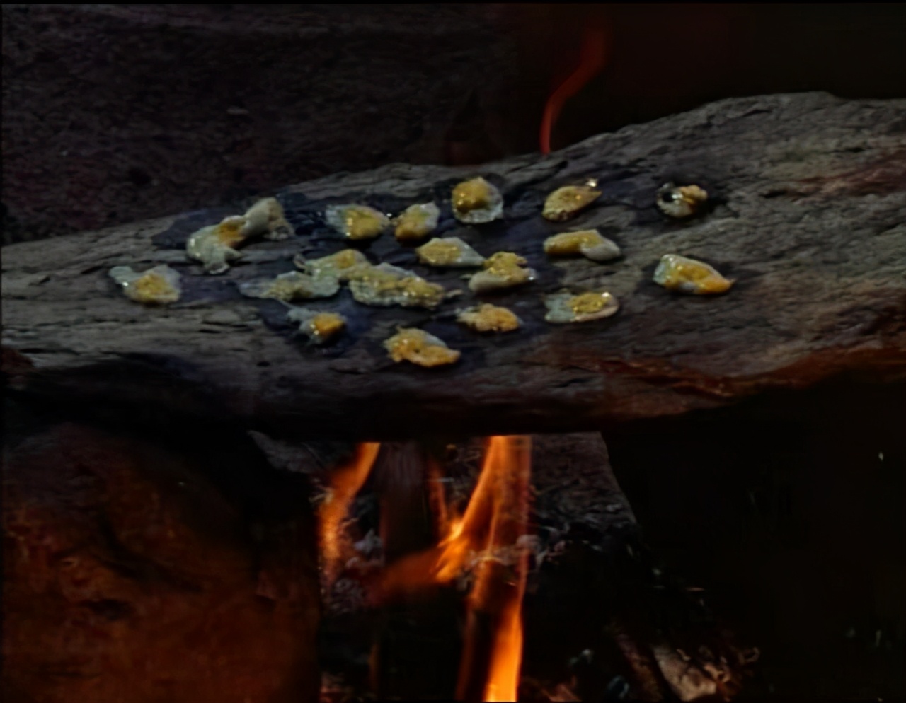 蛇咬蝎追，八岁男童如何在沙漠里生存三周？