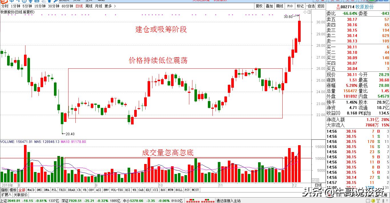 12.10新手入门:量价关系识别技巧,从入门到精通