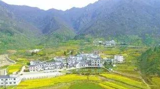 返乡创业助力家乡实体经济发展,商城县返乡创业补贴