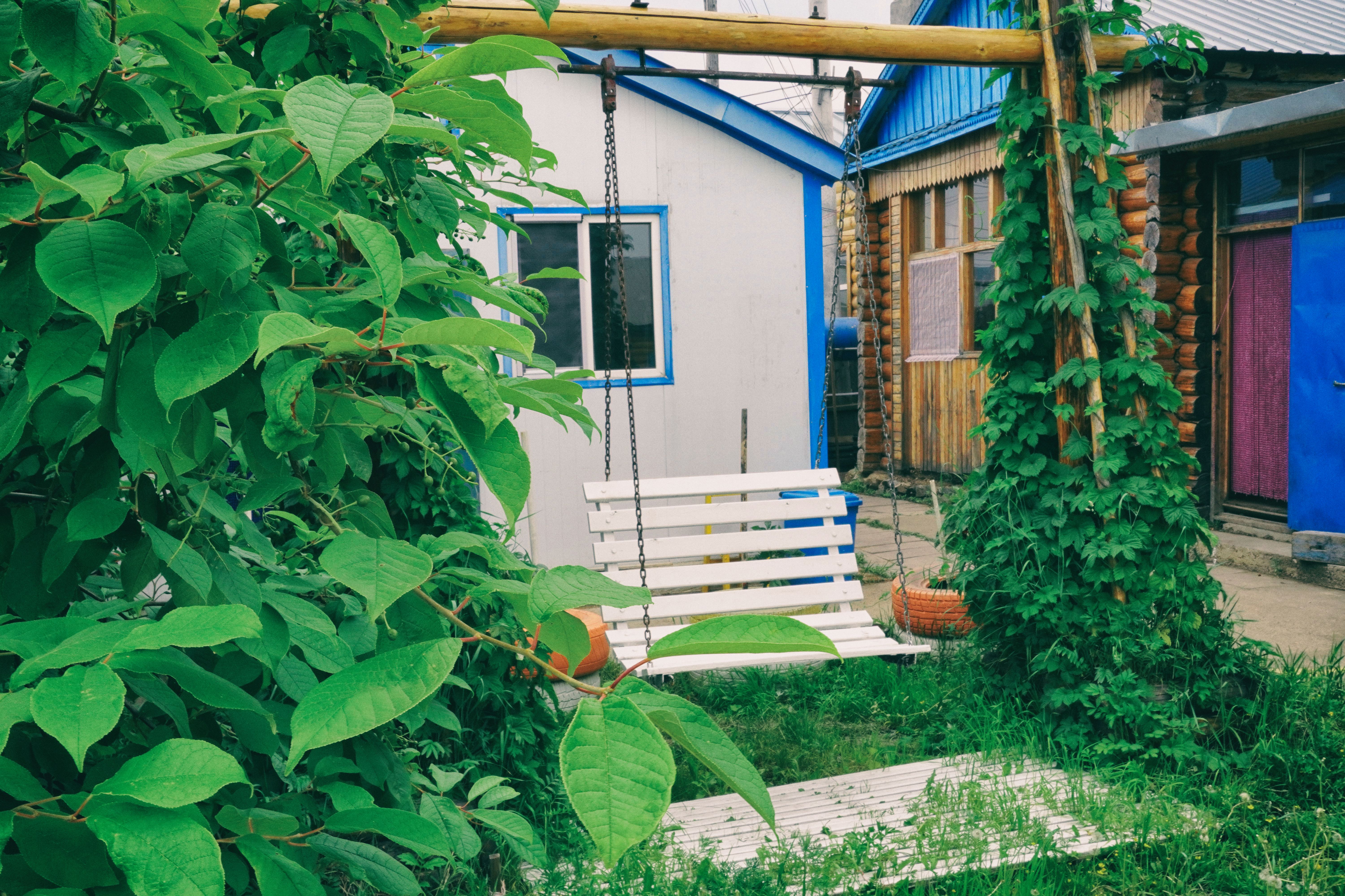 东北游记攻略,东北游记最新视频