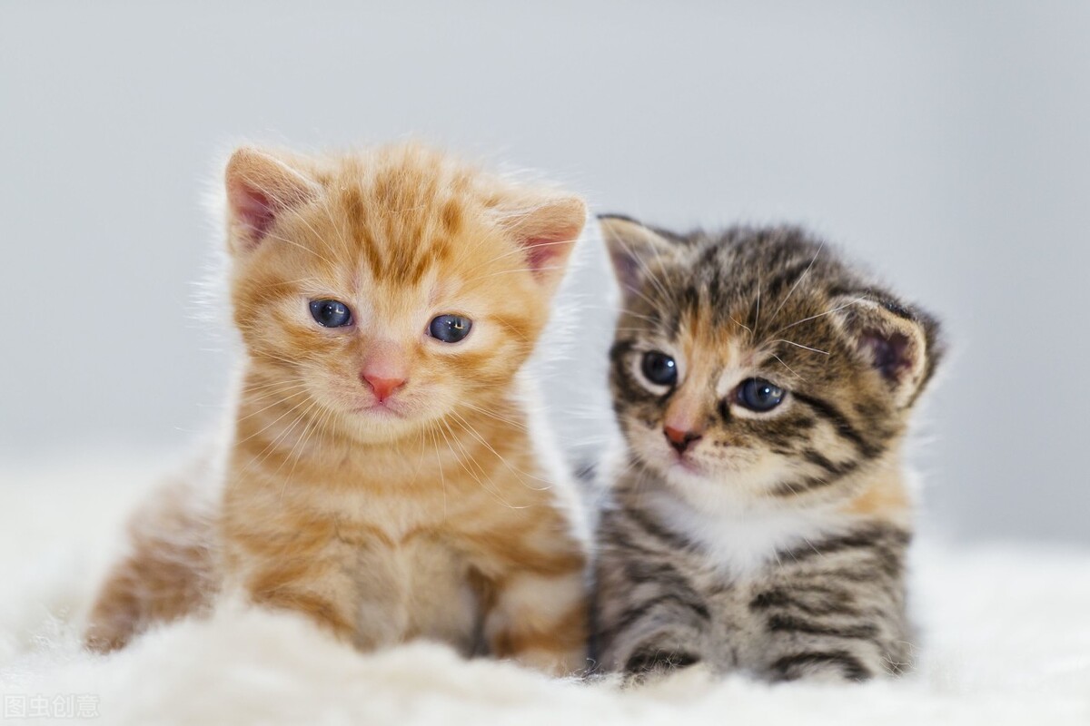 每一位宝贝的终极顽固分子“皮肤病”