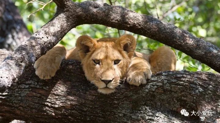 全世界最贵的酒店排行,全世界最贵的酒店多少钱一晚