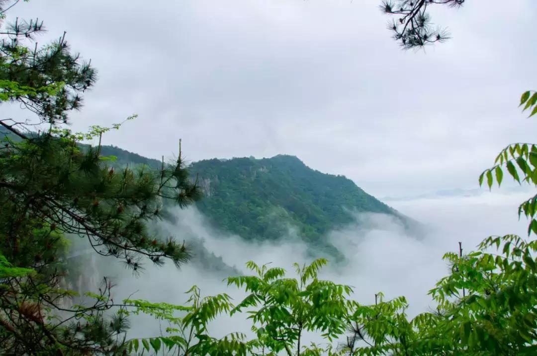 宁波露营基地过夜看日出,宁波晴江岸露营地