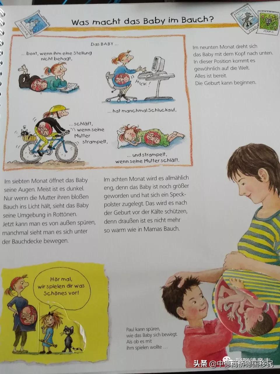 德国性教育绘本,德国儿童性教育