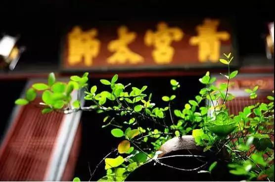 泰宁寻花穿越节|听说这处可能是福建最适合拍古风大片的地方,现在还免费了,你不来确认下吗