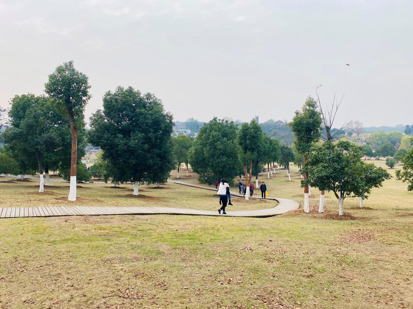 南京最适合夜晚的公园,南京周末户外打卡景点