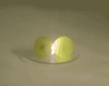 哪些东西放到微波炉里会有危险,这几样东西千万别放进冰箱