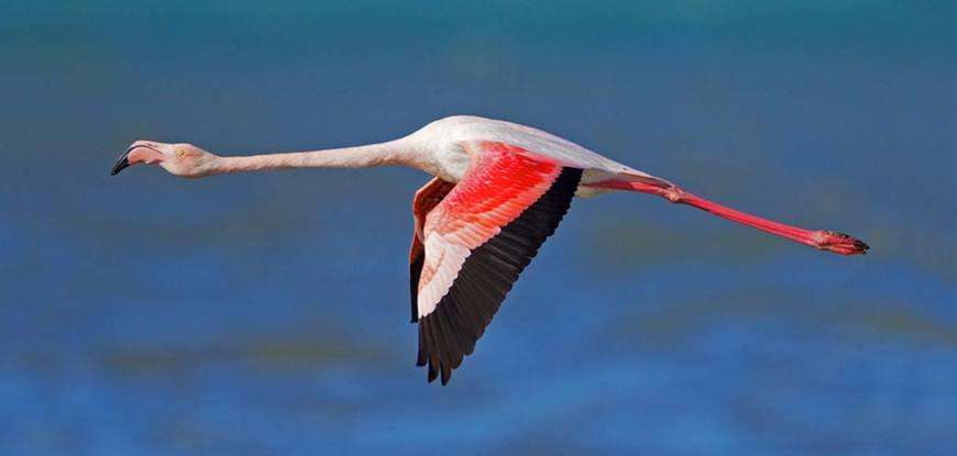 烈火焚情终不悔的下联,上联情定三生错今生求下联