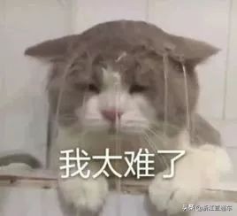 如何全国范围内姓名查重,姓名查重系统四川