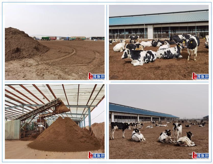 走进乐源君邦和邢台君兴丨中瑞项目她来了