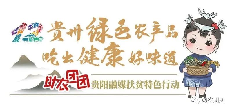 助农产品水果猕猴桃,贵州六盘水红心猕猴桃助农