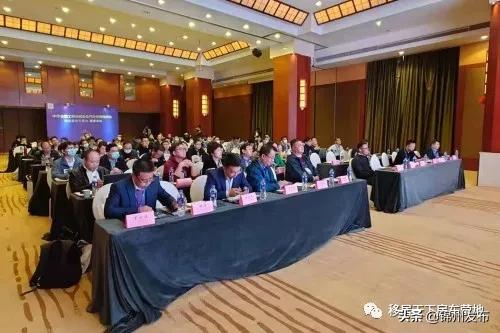 房车露营协会,房车露营专委会