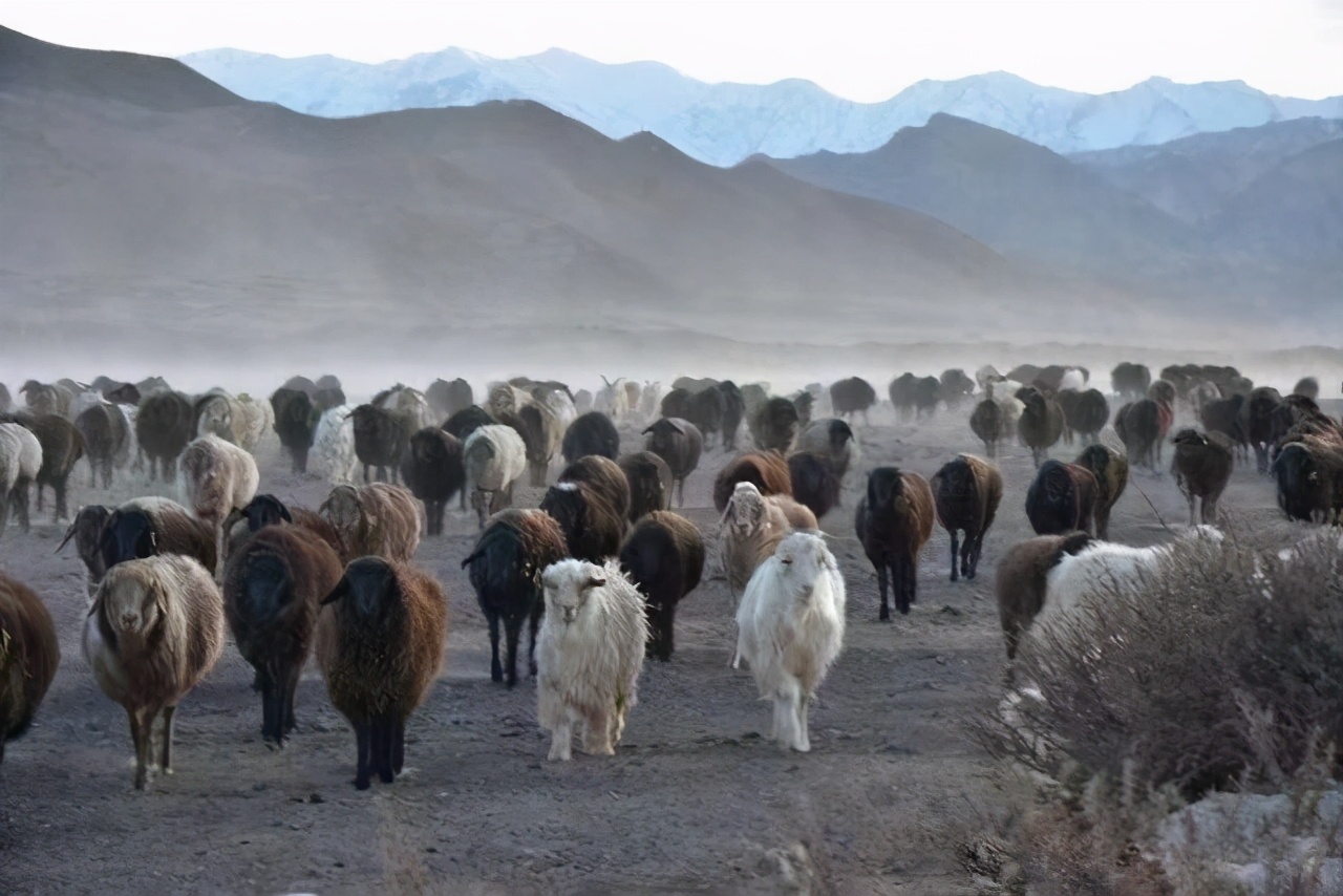 可以叫蒙古国外蒙古吗,蒙古国外蒙是怎么称呼的