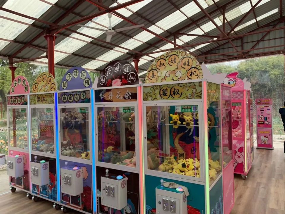 28届菏泽牡丹花会直播,38届洛阳牡丹花会直播