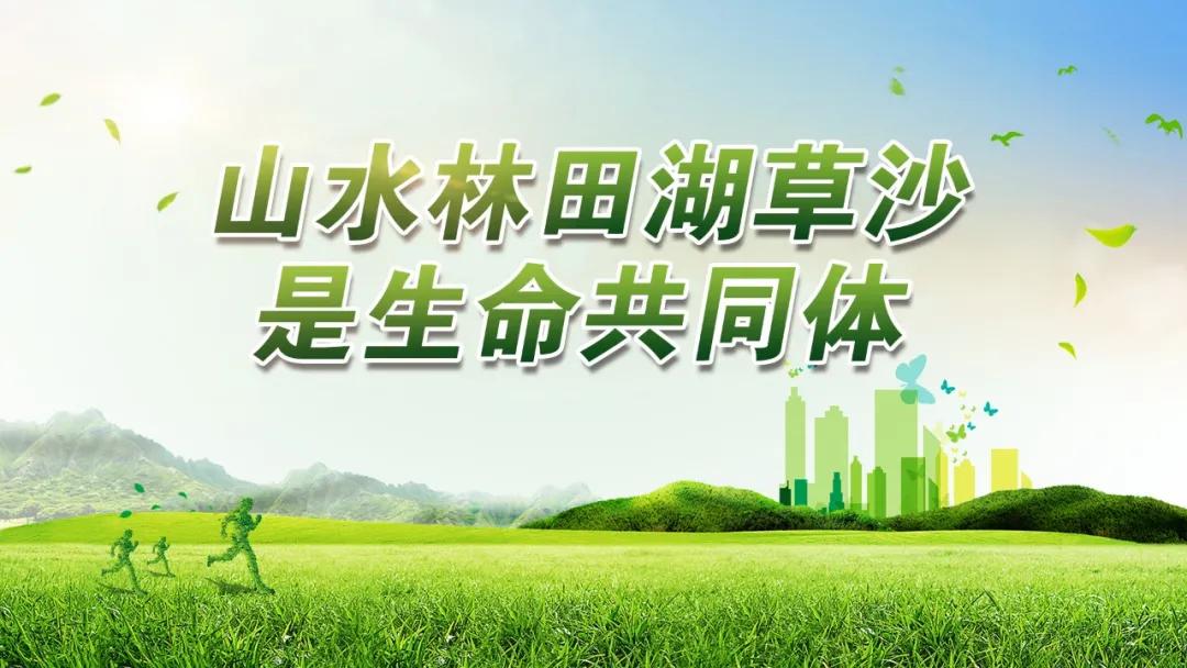 我为农民群众办实事活动方案,秸秆回收再利用变草为宝促增收