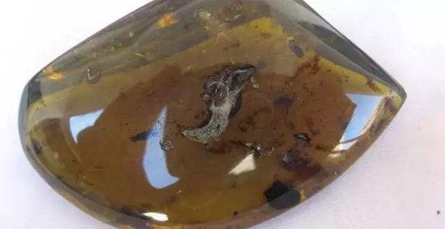 缅甸琥珀真伪鉴别方法,缅甸琥珀鉴定视频大全