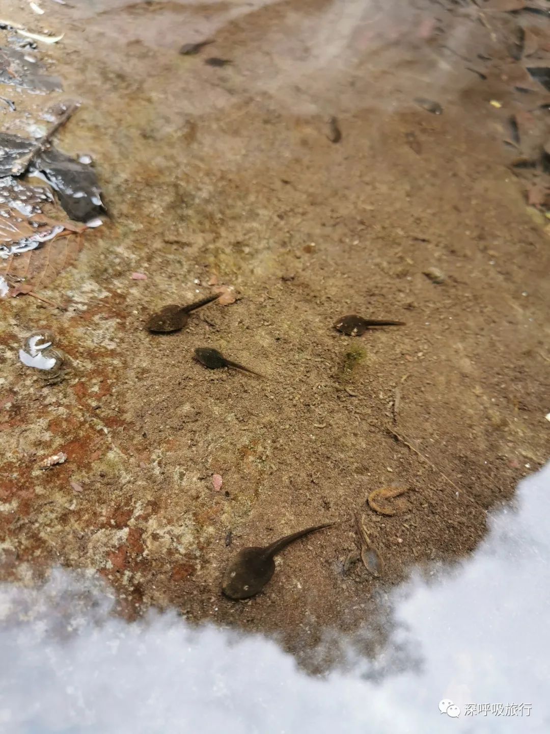 门头沟双龙峡小火车视频,京西小九寨百瀑谷