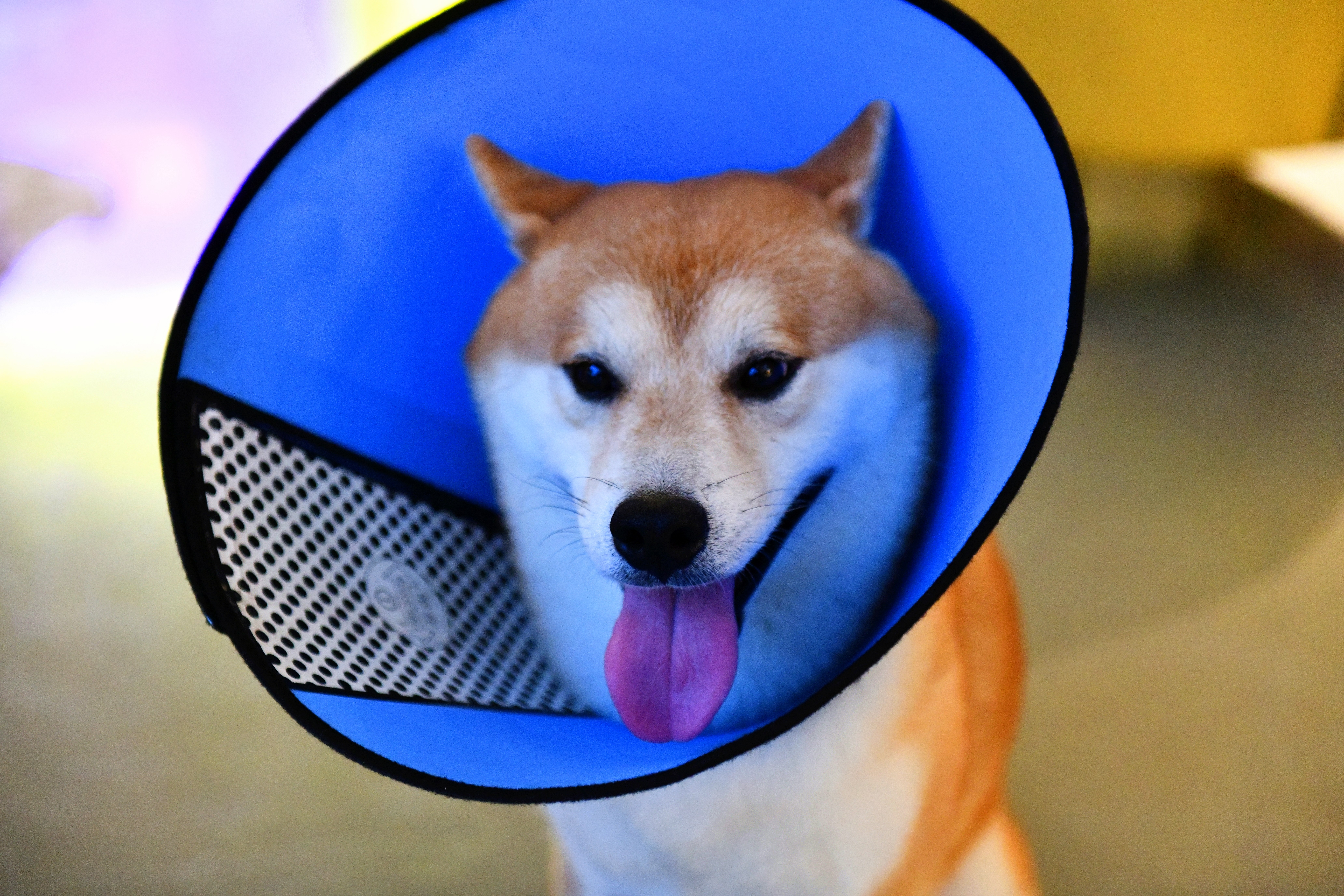 广州潮人来Hea的地方99%的本地人都不知道