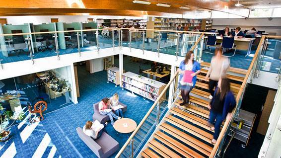 奢侈品管理专业都学什么,商科知识