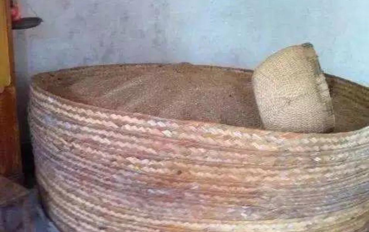 吞噬可恶的奶牛,对付谷牛最有效的办法