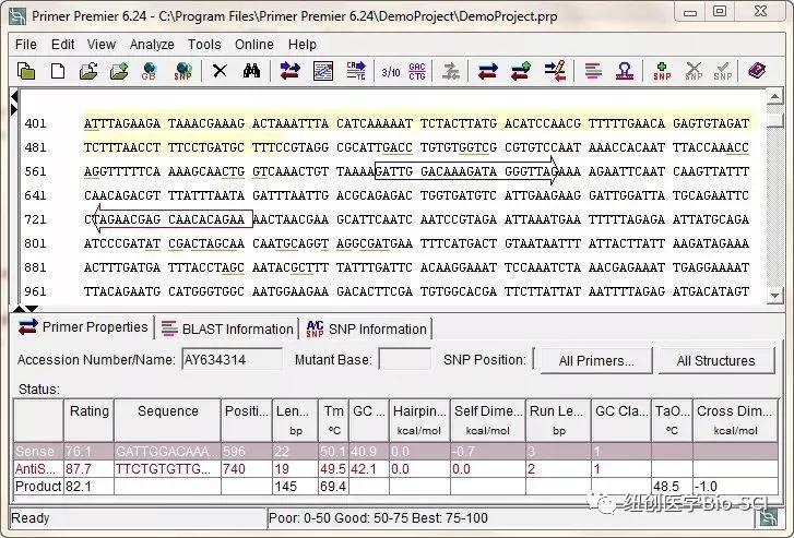 常用分子生物学技术知识点总结,分子生物学日常的应用