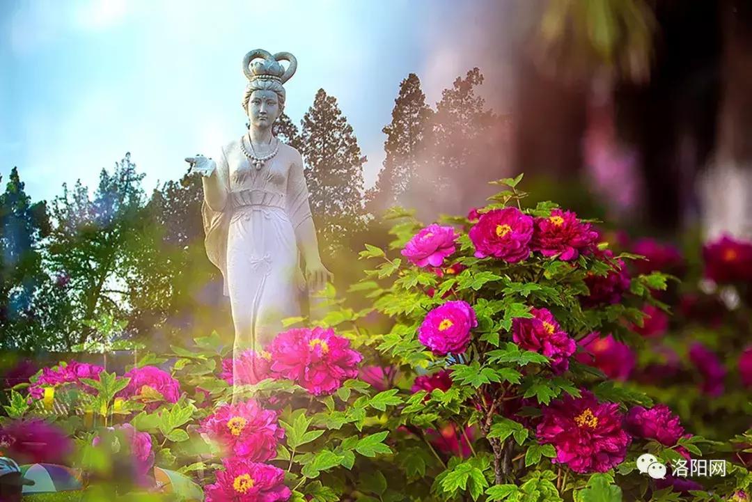 洛阳向全球推介,洛阳向世界发出邀请