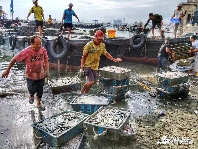 潮汕阿舅全部视频,潮汕网红澄海