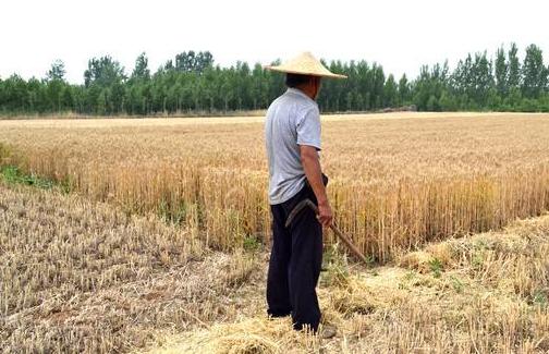 适合打工的创业方式都有哪些,如何月入过万无本钱创业22种方法