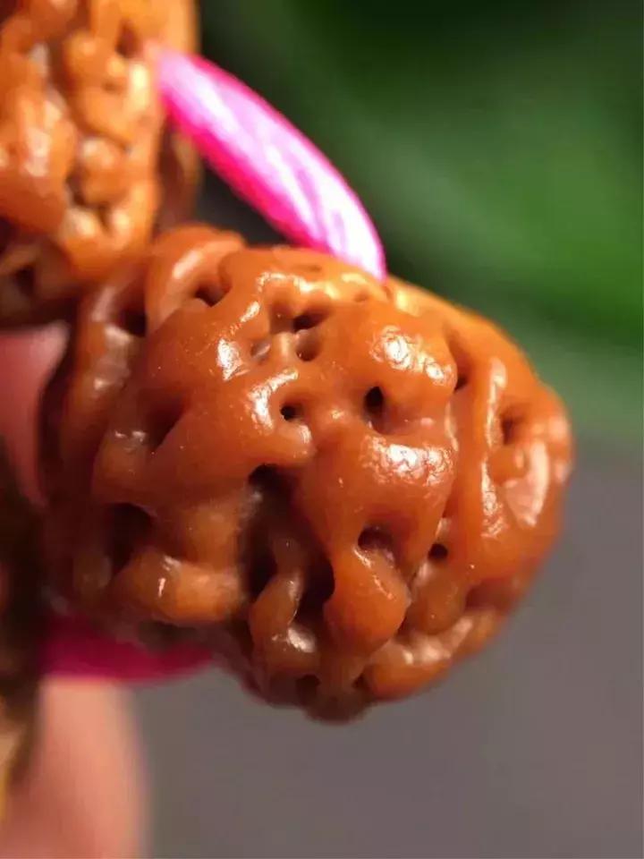 金刚菩提子手串知识大全,讲解金刚菩提的书籍