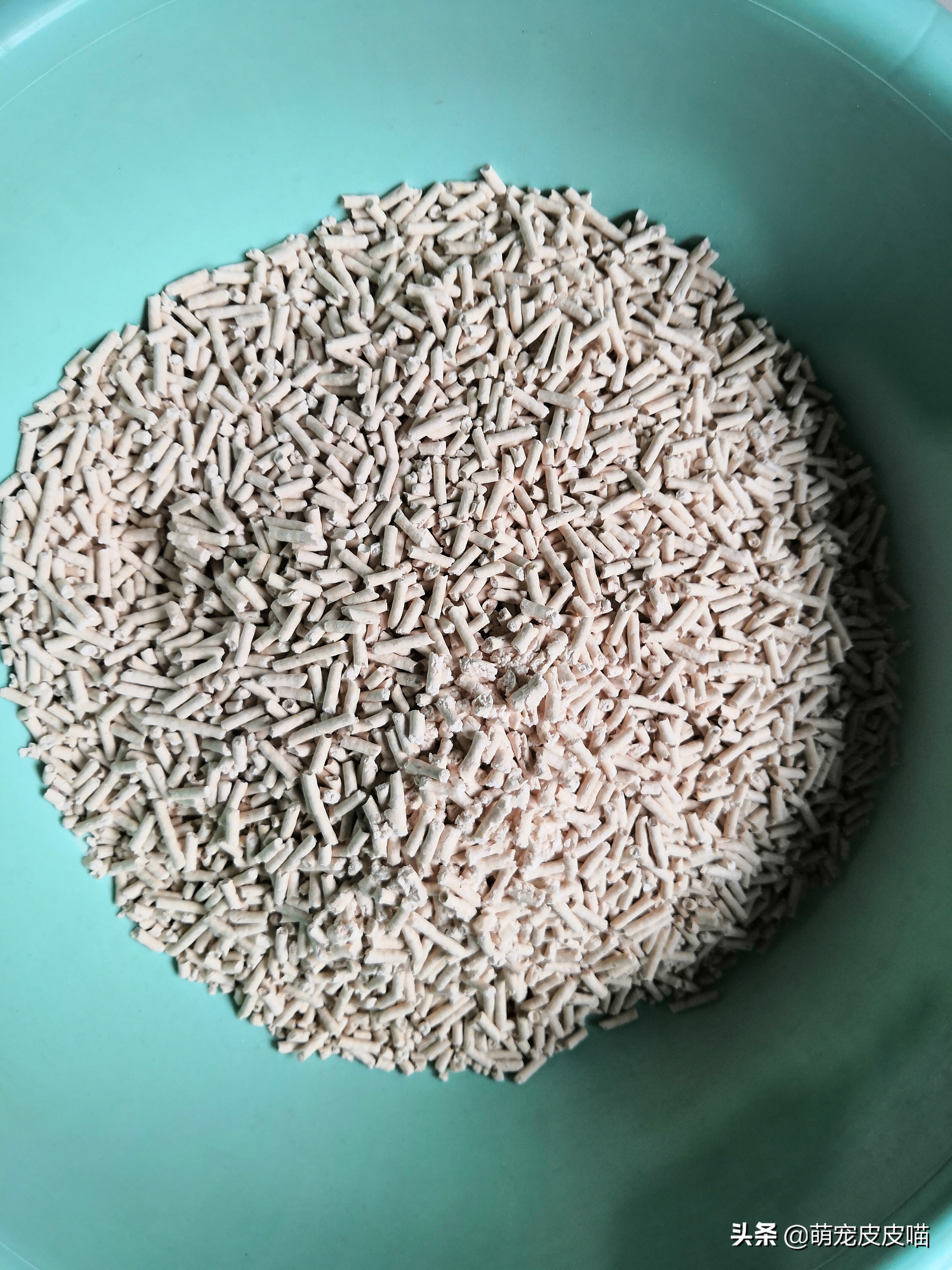 尾巴生活豆腐猫砂和一罐好鱼猫罐头测评,需要的铲屎官看过来哦