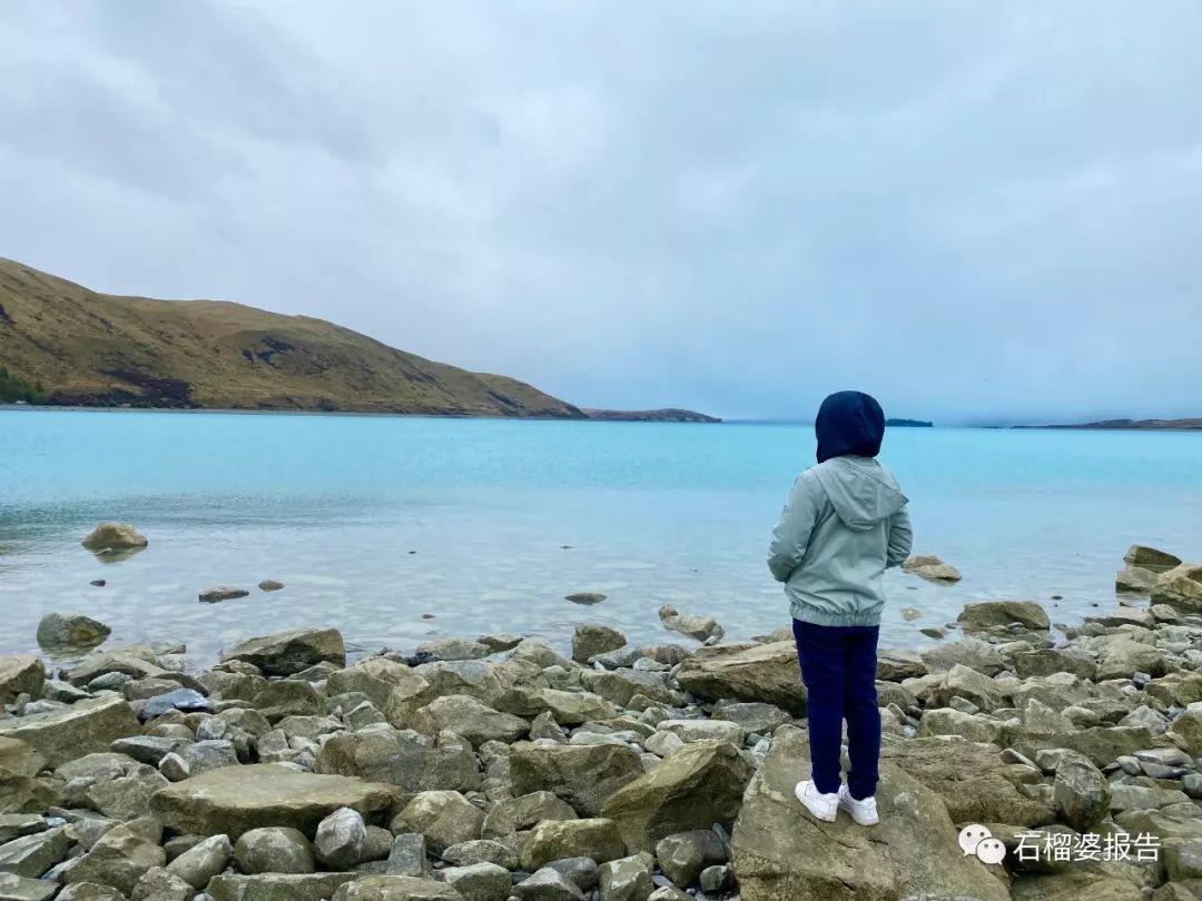 旅行7天,新西兰霍比特人村游记