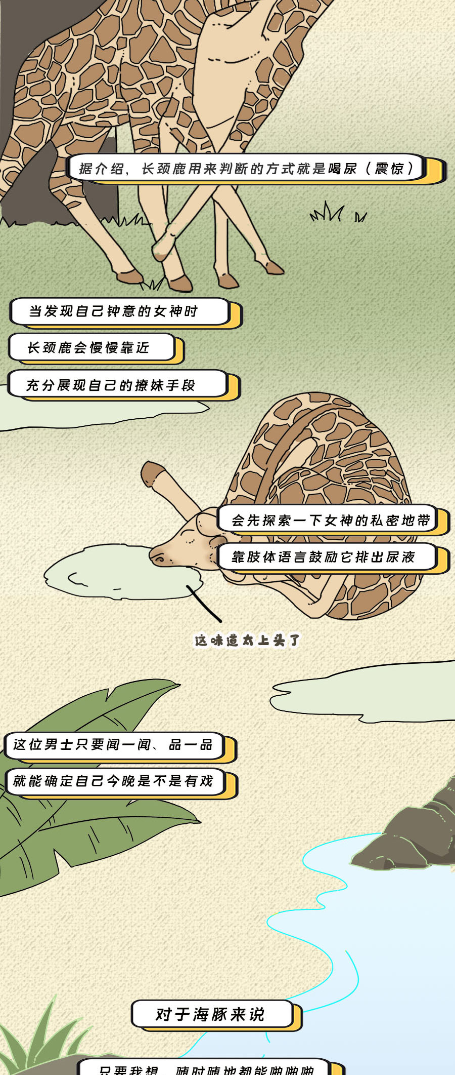 那些羞羞的事:动物是如何啪啪啪的?