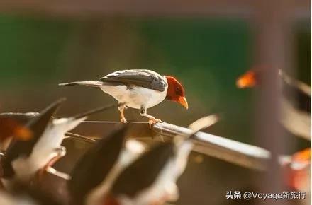 2019年十大旅行目的地,2019十大旅行目的地