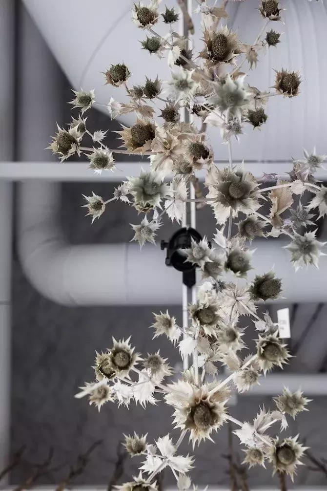 世界上超美的小花店,世界上的小花店