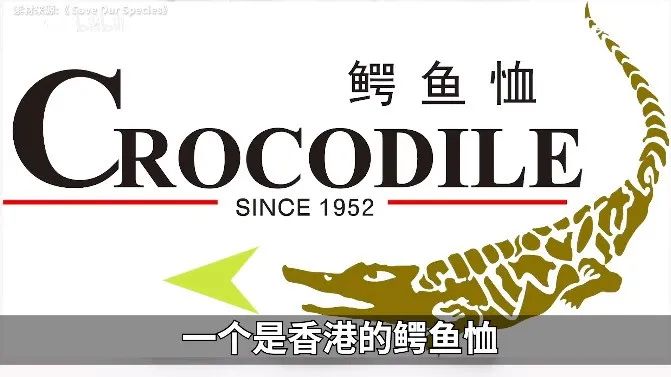 华伦天奴折扣清仓女装,华伦天奴甩卖