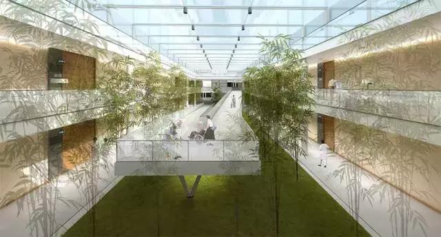 江北核心区规划医院,江北区即将开建的学校